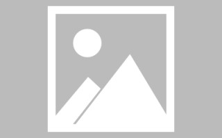孟津ai素材分享网站推荐（ai格式素材免费下载网站）